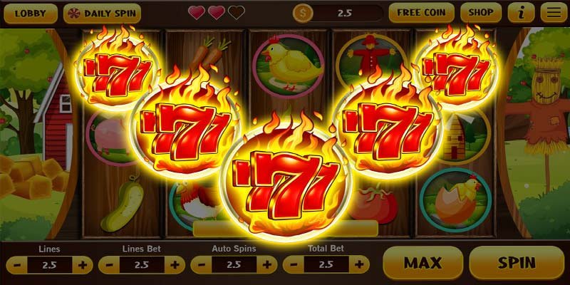23wwin