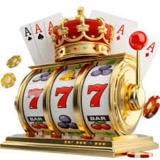 23wwin